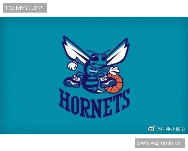 夏洛特黄蜂与印第安纳步行者的精彩对决分析与赛季展望