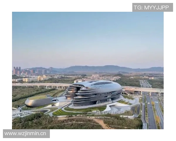 球场为核心的城市空间重构与运动文化融合探索