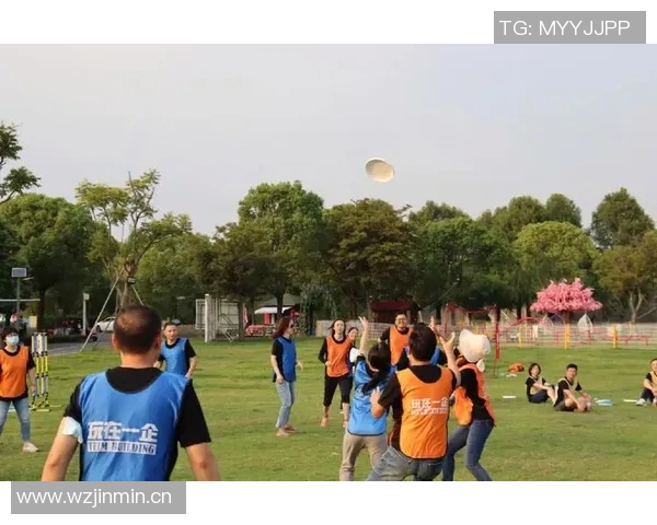 上海飞盘队的团队协作探索与飞盘运动的魅力结合